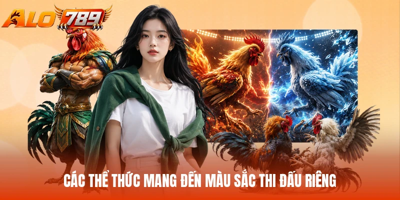 Các thể thức mang đến màu sắc thi đấu riêng