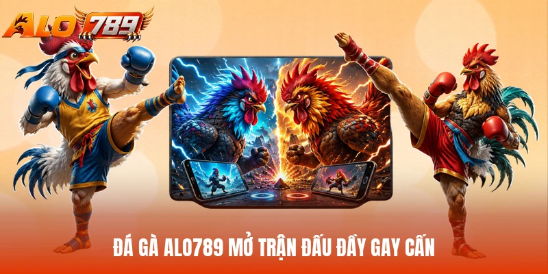 Đá gà ALO789 mở trận đấu đầy gay cấn