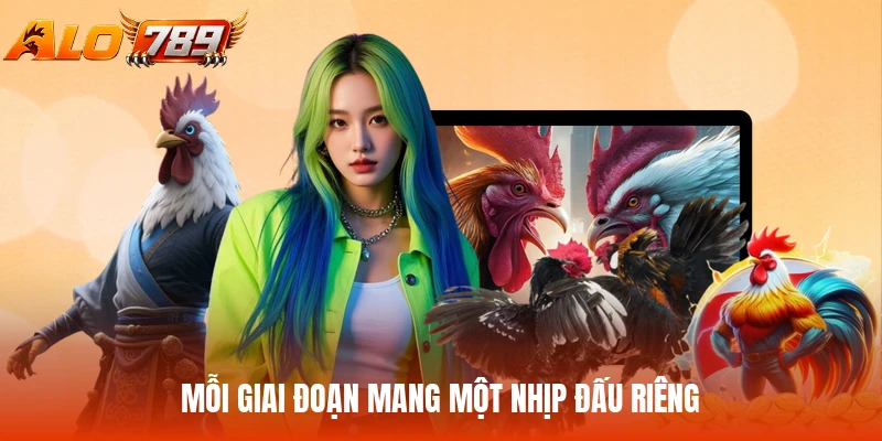 Mỗi giai đoạn mang một nhịp đấu riêng